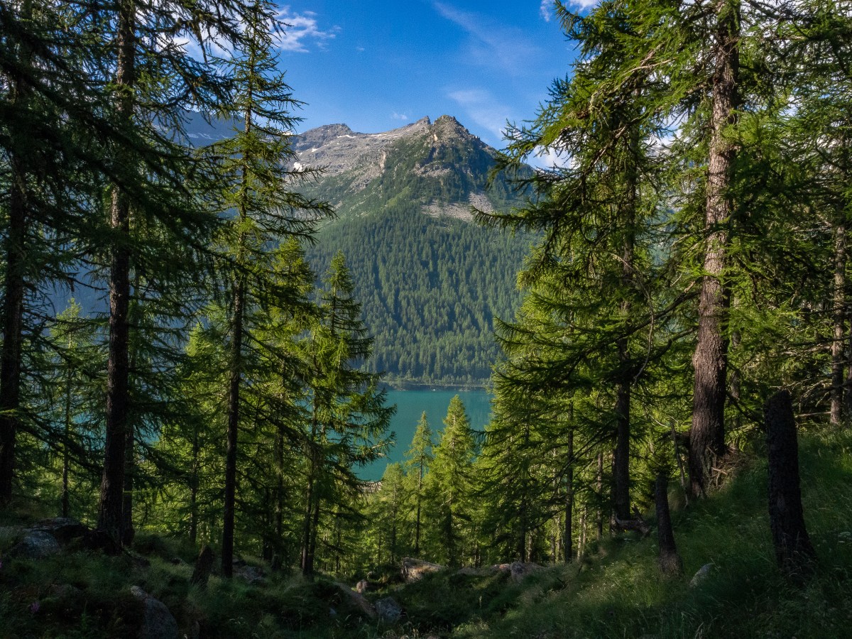 La Montagna, amore e&nbsp;odio