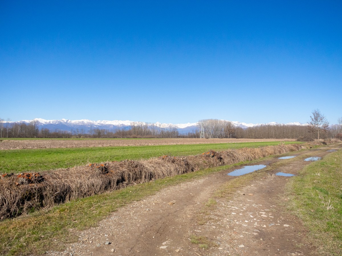La vita  di campagna ai tempi del Coronavirus, per gli amici&nbsp;Covid-19