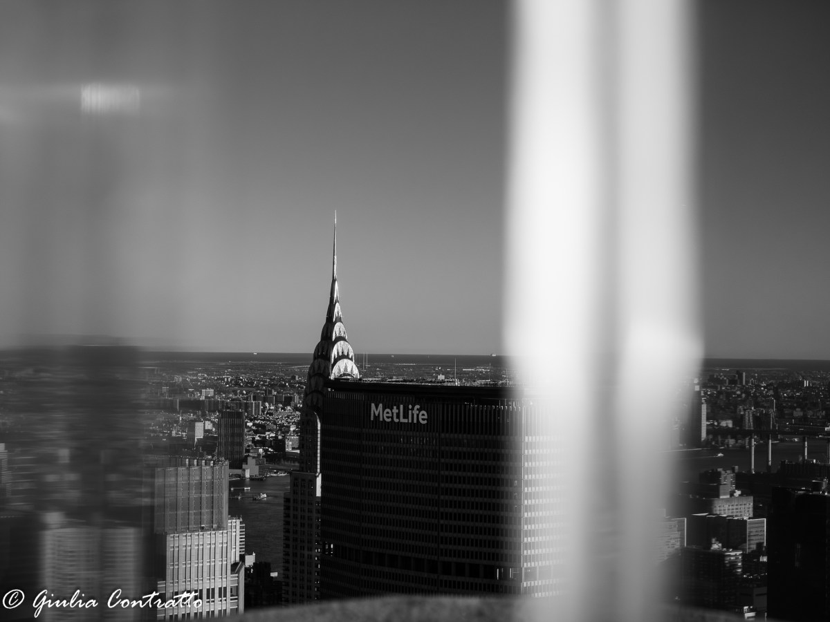 Ritorno a New York: Bronx, Harlem e&nbsp;Brooklyn